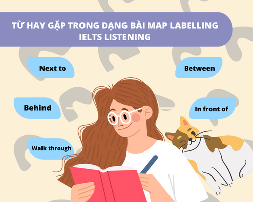 Từ vựng hay gặp trong dạng bài Map Labeling IELTS Listening